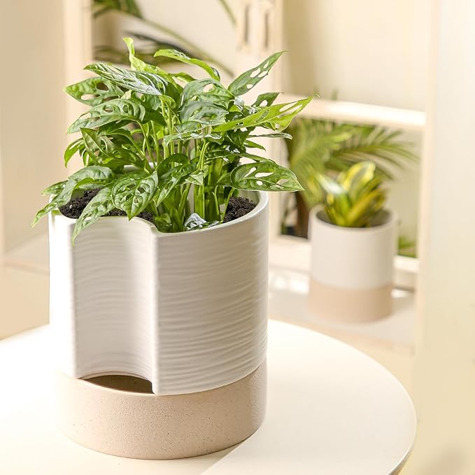 Nihow Self Watering Plant Pot: 8 Inch Ceramic Planter with Drainage Hole & Water Storage Plus for Indoor & Outdoor Plants - Cylinder Round Flower Pot for Succulent/Herbs/Violets - White & Brown-Ruum Studio Home