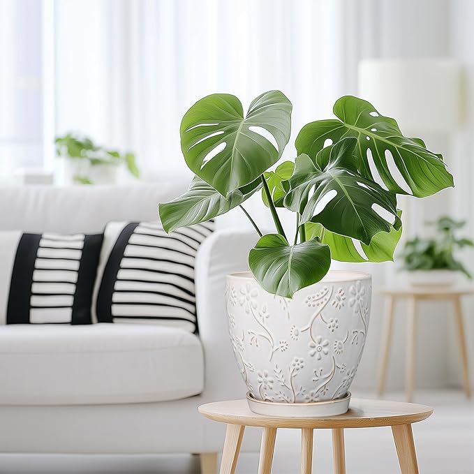 8 Inch Ceramic Pots for Plants Large Planter Pot with Drainage Hole and Saucer Round Flower Pot for Indoor Outdoor Decor, White-Ruum Studio Home
