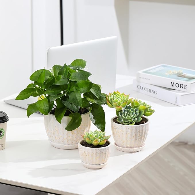 Ceramic Plant Pots with Drainage Holes and Saucers, Round Flower Pots for Indoor Plant, Diameter 3.3/4.3/5.5 Inches Small Flower Planters Set of 3-Ruum Studio Home