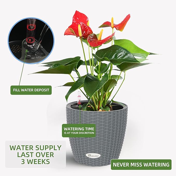 Dexceder 9x8 Inches Rattan Self Watering Planter Indoor Outdoor, Inner Pot Design, Thickened Table Flower Plant Pot with Water Level Indicator (Deep Gray)-Ruum Studio Home