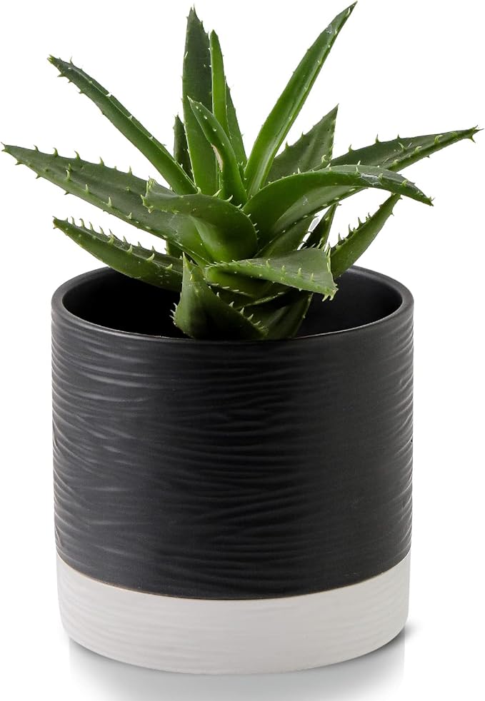 Nihow Ceramic Plant Pot: 6 Inch Planter with Drainage Hole & Saucer for Indoor & Outdoor Plants - Cylinder Round Flower Pot for Succulent/Herbs/Violets - Black & White-Ruum Studio Home