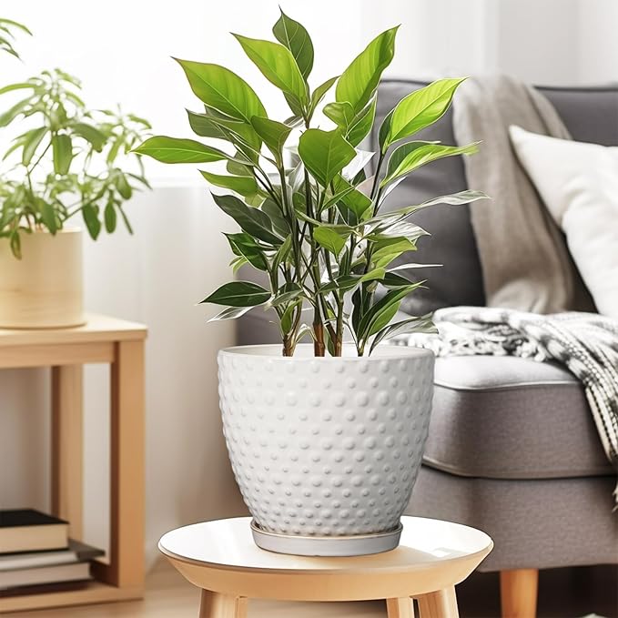 G EPGardening 8 Inch Plant Pot for Indoor Outdoor Plants Round Ceramic Planter Pot with Drainage Hole and Saucer Modern Large Flower Pot White-Ruum Studio Home