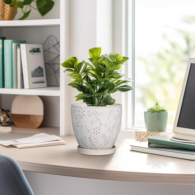 6 Inch Ceramic Plant Pot for Indoor Plants Outdoor Round Planter Flower Pot with Drainage Hole and Saucer for Home Garden Office Decor White-Ruum Studio Home
