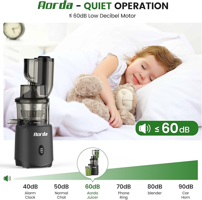 Slow Masticating Cold Press Juicer: Cold Pressed Juicer Machines For Vegetable And Fruit 200W, Matte Grey-Ruum Studio Home