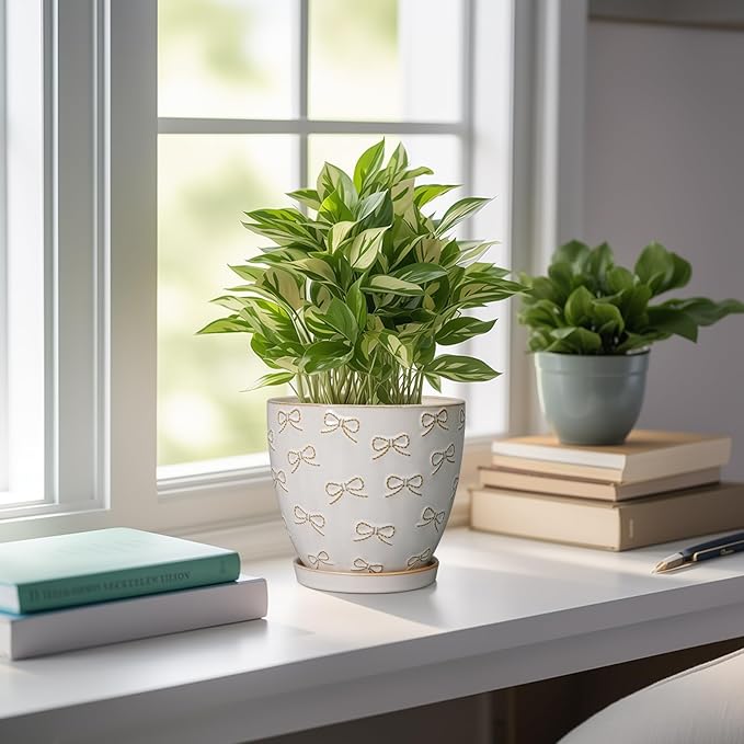 Ceramic Plant Pot 6.9 Inch - Ceramic Planter with Drainage Hole and Saucer Round Planter Flower Pot for Indoor Plants Outdoor Home Garden Office Decor White-Ruum Studio Home