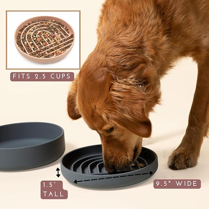 The Slowdown Bowl Silicone Slow Feeder for Dogs & Puppies, Slow Eating, Modern Lick Mat Design, Reduces Gulping, Fits 2.5 Cups 9.5” Across x 1.5” Tall, Mealtime Challenge, Large-Blush-Ruum Studio Home