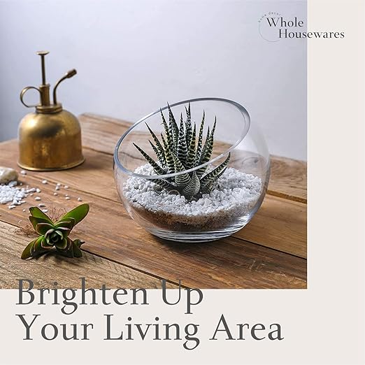 WHOLE HOUSEWARES | Slant Cut Bowl Glass Vase, Width 6.3", Height 5", Clear Terrarium Jar, Candy Jar, Fruit Jar, Floral Container for Wedding Party Event, Home Office Decor, 1 Piece-Ruum Studio Home