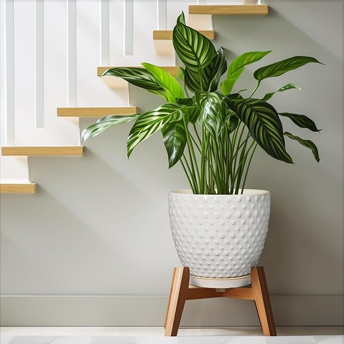 G EPGardening 10 Inch Plant Pot Ceramic Pots for Plants Indoor Outdoor Plant Pots with Drainage Hole and Saucer Round Large Flower Pot for Home Garden Office White-Ruum Studio Home