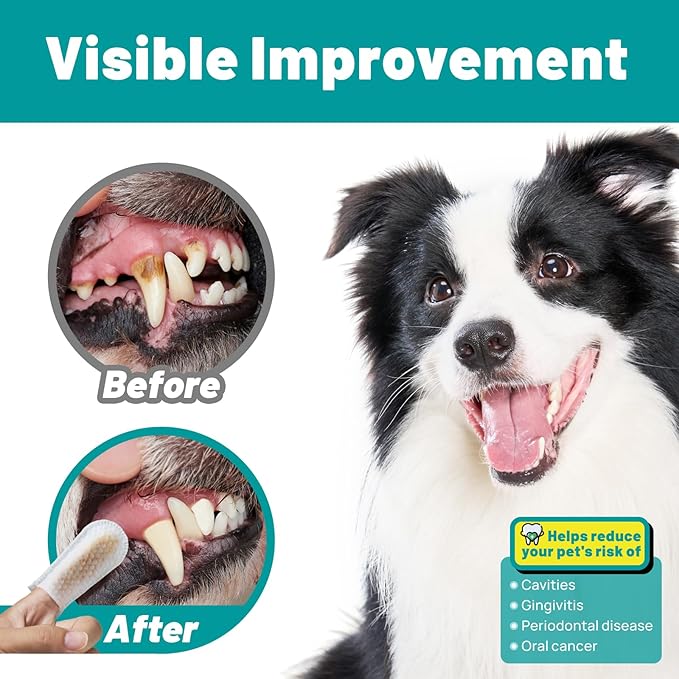 Dog Dental Care Finger Wipes - Teeth Cleaning Finger Wipes for Dog & Cats - Tooth Brushing Kit Dental Wipes for Dog - Reduces Plaque & Freshens Breath (50 PCS, Beef)-Ruum Studio Home