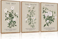 Aurlan The Way The Truth The Life Bible Verse Framed Wall Art(16"x24"), 3PCS Boho Christian Scripture Canvas Artwork, Large Floral Botanical Job 23:11 Psalm 43:3 John 14:6 Decor for Home Bedroom-Ruum Studio Home