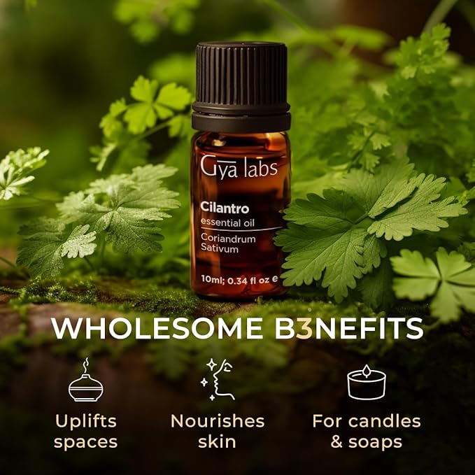 Gya Labs Cilantro Essential Oil for Diffusers - 0.34 Fl Oz - 100% Natural Cilantro Oil for for Skin, Massage, Aromatherapy & Candle Making Scent-Ruum Studio Home