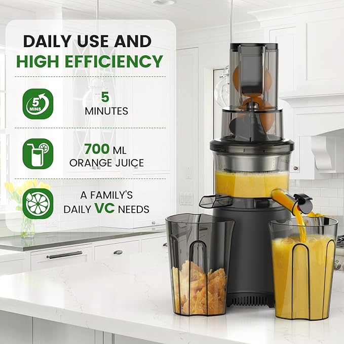 Slow Masticating Cold Press Juicer: Cold Pressed Juicer Machines For Vegetable And Fruit 200W, Matte Grey-Ruum Studio Home
