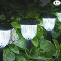 AOSEA LED Solar Lights for Outside,12000K 6 Pack Solar Lights Outdoor IP65 Waterproof,Landscape Lighting,Garden Decorative for Yard,Patio,Landscape,Pathway,Sidewalk,Driveway,Lawn (Cold White)-Ruum Studio Home