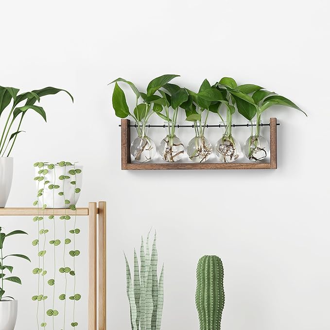 YIBOT Plants Propagation Stations,Plant Terrarium with Wooden Stand,Wall Hanging Glass Planter Plant Propagation Vase for Indoor Office Home Garden Decor Plant Lover Gifts for Women-5 Bulbs-Ruum Studio Home