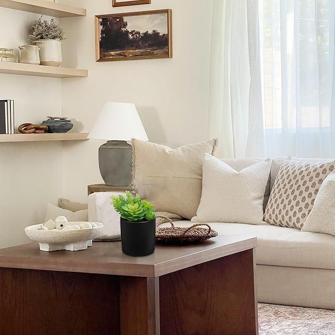 Artificial Succulents in Pots Faux Succulents Plants Fake Succulent Arrangement Potted Plants with Black Ceramic Vase for Office Desk Bathroom Shelf Living Room Indoor Home Decor-Ruum Studio Home