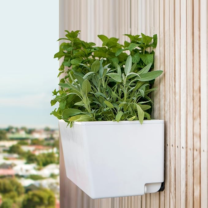 Glowpear Self Watering Planter Box - 23.6", White - UV Stable, Scalable Wall Mounts Plant Pot with Water Gauge, Indoor Outdoor for Vegetables, Flowers, Herbs, and Succulents, Gardening-Ruum Studio Home