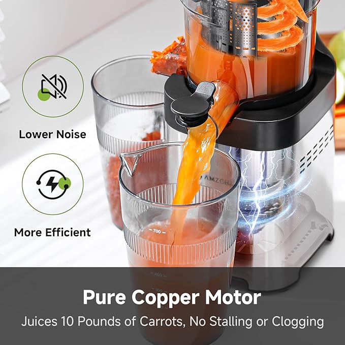 AMZCHEF Cold Press Juicer, Juicers Machines - 5.4" Large Feed Chute for Whole Fruits & Vegetables, Stainless Steel Slow Masticating Juice Easy to Clean, Large Auger, Triple Strainers, Silver-Ruum Studio Home