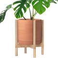 D'vine Dev Terracotta Planter with Natural Stand - 12 Inch Modern Round Flower Pot with Wood Planter Holder, Terracotta, 55-B-J-5-Ruum Studio Home