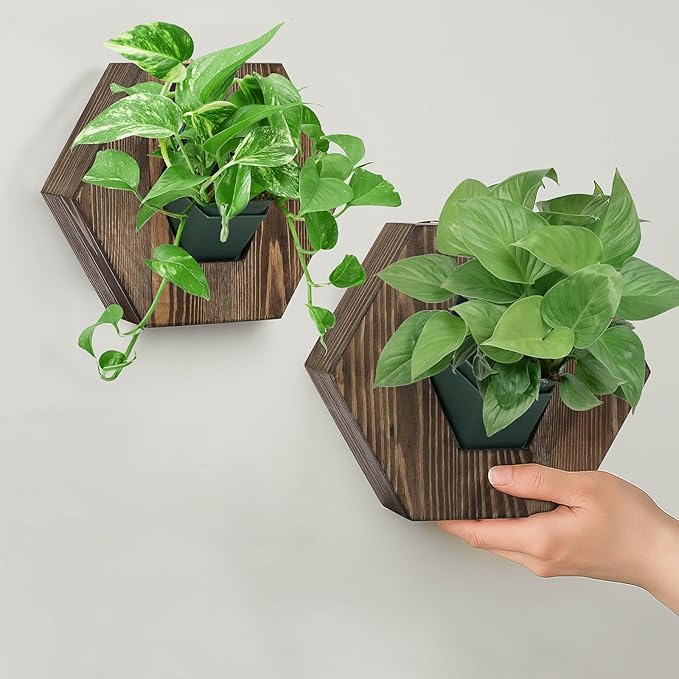 Hexagonal Wooden Wall Planter, Self Watering Living Vertical Planter Indoor, Wooden Frame Planter Wall Decoration Home Office,2pc Walnut-Ruum Studio Home