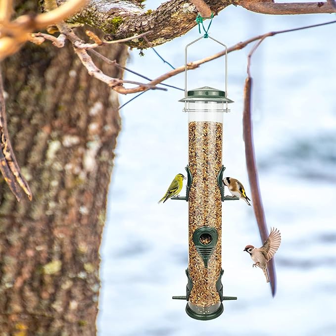 MIXXIDEA 2PK Metal Wild Bird Feeder Bird Feeders for Outdoors Hanging 6 Port Tube Bird Feeder Transparent Finch Feeder with Steel Hanger Green-Ruum Studio Home