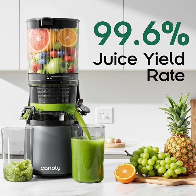 Canoly C16 Cold Press Juicer, 6" Extra Wide Feed Chute, 3-IN-1 Strainers (Juice & Sorbet & Nut Milk), Powerful AC Brushless Motor, Self Precut System, Juicer Machines with BPA-Free (Space Gray)-Ruum Studio Home