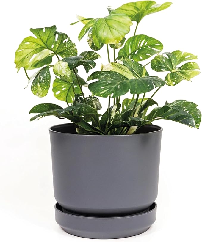 Elly Décor 10 inch Plastic Cylinder Planter Pot with Self-Watering Saucer and Drainage Hole,Lightweight & Extremely Durable, 10"x 10", Gray-Ruum Studio Home
