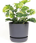 Elly Décor 10 inch Plastic Cylinder Planter Pot with Self-Watering Saucer and Drainage Hole,Lightweight & Extremely Durable, 10"x 10", Light Gray-Ruum Studio Home