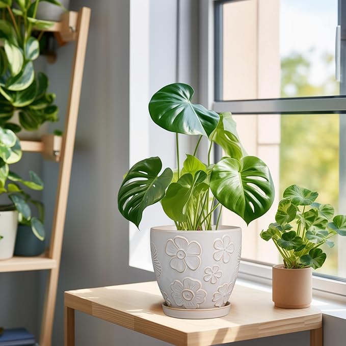 6.9 Inch Plant Pot with Drainage Hole and Saucer Ceramic Planter for Indoor Plant Flower Pot for Orchid Succulents Plants White-Ruum Studio Home