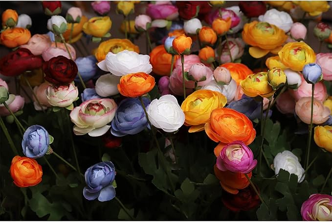 Artificial Silk Flowers Persian Buttercup Heavy Color Ranunculus Flower 5 Pcs,Suitable for core Decoration,Wedding Floral Creation,Flower Arrangement DIY Project,Interior Decor（Yellow）-Ruum Studio Home