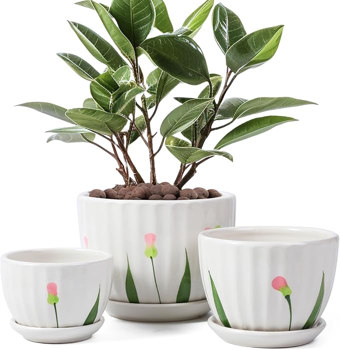 Ceramic Plant Pots with Drainage Holes and Saucers, Round White Flower Pots for Indoor Plant, Diameter 3.3/4.3/5.5 Inches Small Flower Planters Set of 3-Ruum Studio Home