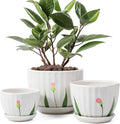 Ceramic Plant Pots with Drainage Holes and Saucers, Round White Flower Pots for Indoor Plant, Diameter 3.3/4.3/5.5 Inches Small Flower Planters Set of 3-Ruum Studio Home