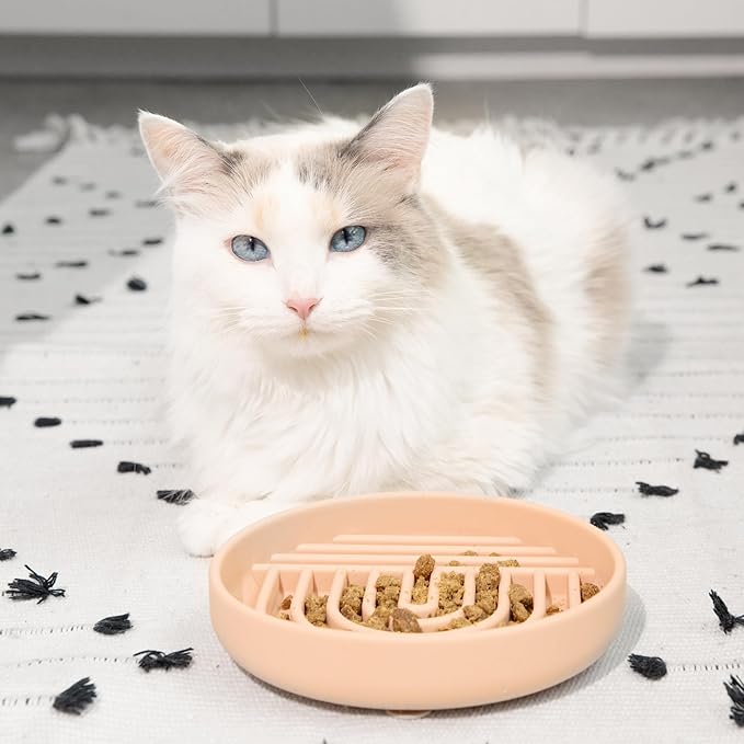 The Slowdown Bowl Silicone Slow Feeder for Cats & Kittens, Slow Eating Mealtime Solution with Modern Lick Mat Design, Reduces Gulping, Fits 1 Cup 6” Across x 1.25” Tall, Small-Tan-Ruum Studio Home