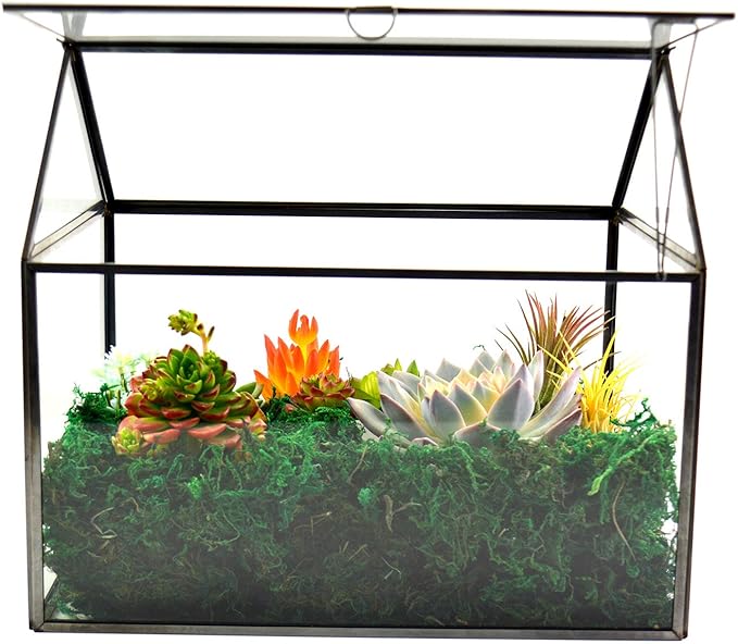 Black 1 Large Glass Plant Terrarium Kit with Lip Greenhouse for Succulents-Ruum Studio Home