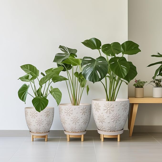 6.9 Inch Plant Pot with Drainage Hole and Saucer Ceramic Planter for Indoor Plant Flower Pot for Orchid Succulents Plants White-Ruum Studio Home