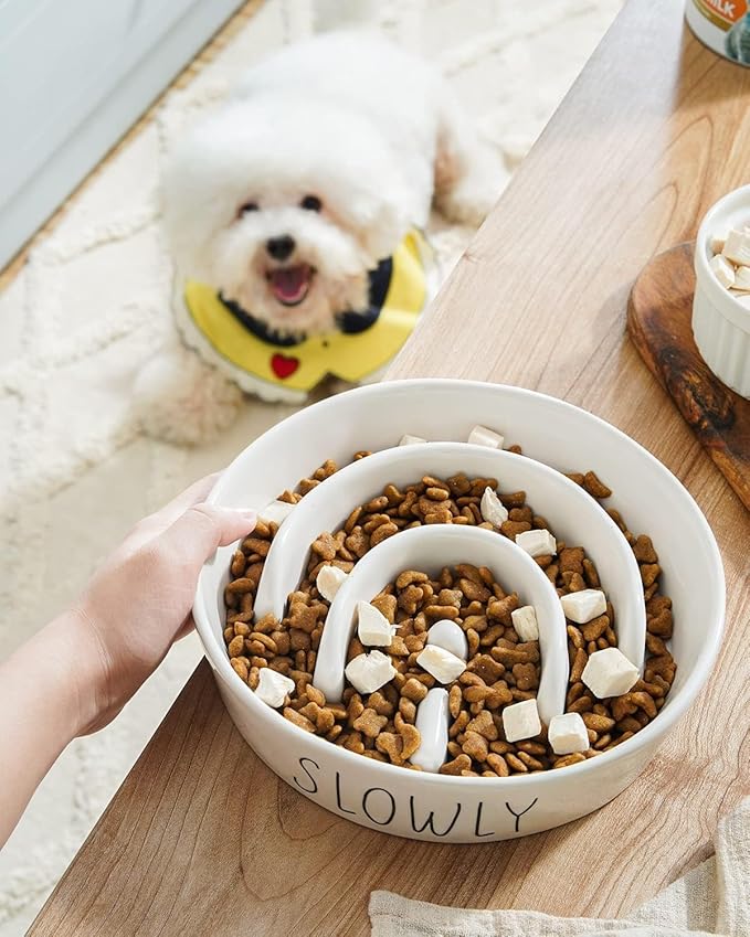 Ceramic Slow Feeder Dog Bowls Elevated for Small and Medium Breed with Wooden Stand, 1.5 Cups Dog Dishes to Slow Down Eating, Anti-Gulping Pet Feeding Dishes,White-Ruum Studio Home