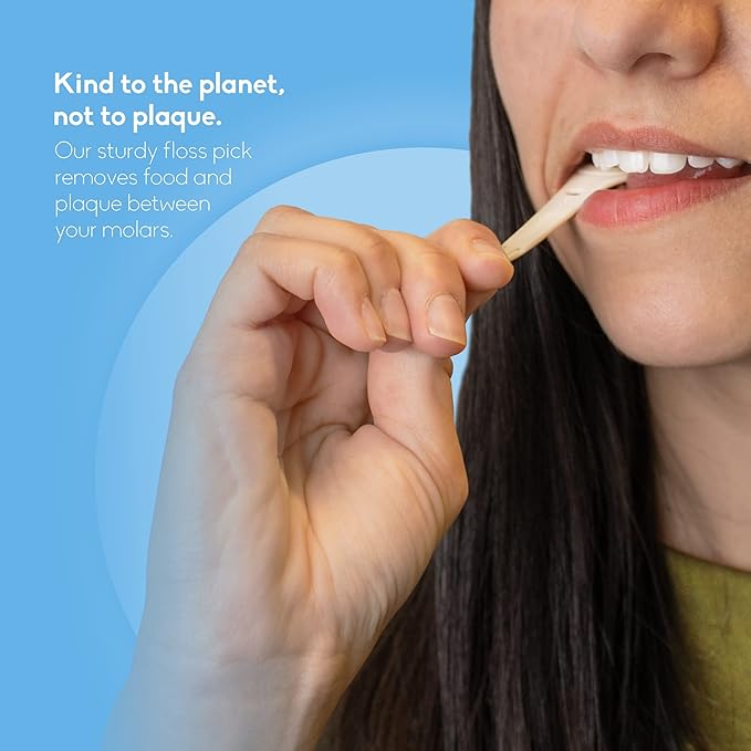 The Humble Co. Floss Picks (200 Count) – Plant Based Dental Floss Picks with Grip Handle for Superior Oral Care, Dental Hygiene, and Gum Health, Cruelty Free Tooth Floss Picks (Mint)-Ruum Studio Home