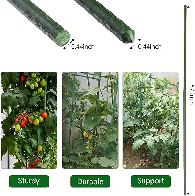 Garden Plant Stakes 57 Inch (Approx 5Ft) Steel Plant Stick Support, 25 Pack Tomato Stakes for Growing Climbing Plants, Potted Plants, Tomatoes, Trees, Cucumber, Beans, Fences Poles-Ruum Studio Home