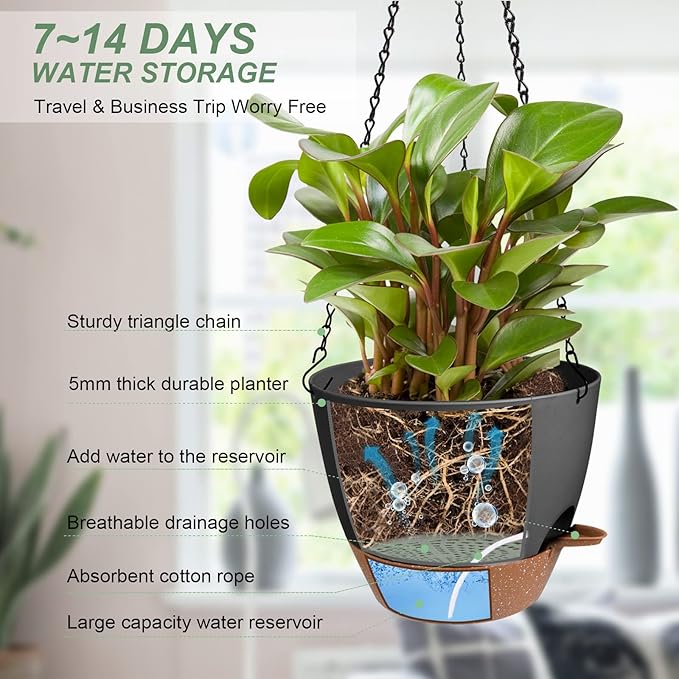 Hanging Planters for Indoor Outdoor Plants, 2 Pack Self Watering Hanging Pot with Drainage Holes & Removable Tray (Black, 8'')-Ruum Studio Home