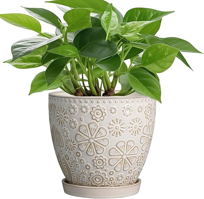 6.9 Inch Plant Pot with Drainage Hole and Saucer Ceramic Planter for Indoor Plant Flower Pot for Orchid Succulents Plants White-Ruum Studio Home