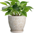 6.9 Inch Plant Pot with Drainage Hole and Saucer Ceramic Planter for Indoor Plant Flower Pot for Orchid Succulents Plants White-Ruum Studio Home