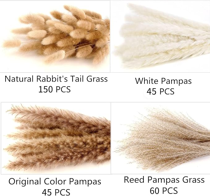 300 PCS Dried Flower Bouquet – Pampas Grass, Floral Decor for Home, Wedding, and Boho Style | Perfect for Vases, Fall, Spring, Summer, and Winter Arrangements-Ruum Studio Home