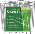 Landscape Staples Galvanized 10 Inch 120 Pcs, Metal Garden Stakes 1.6 Inch, Garden Staples for Lawn 11 Gauge-Ruum Studio Home