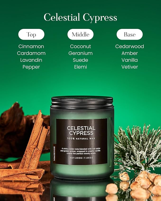 M&SENSE Celestial Cypress Scented Soy Jar Candles, Best Smelling Cedarwood Cardamom Scented Candles 7.05oz 50 Hour Long Lasting Burn, Non Toxic Natural Woody Scent Gifts for Men Women-Ruum Studio Home