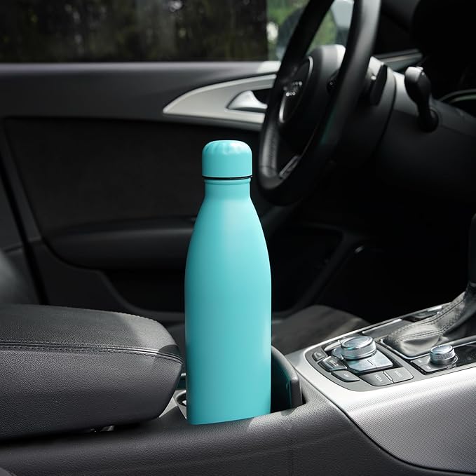 Insulated Water Bottles,25 oz Double Wall Stainless Steel Vacumm Metal Flask for Sports Travel,Turquoise-Ruum Studio Home