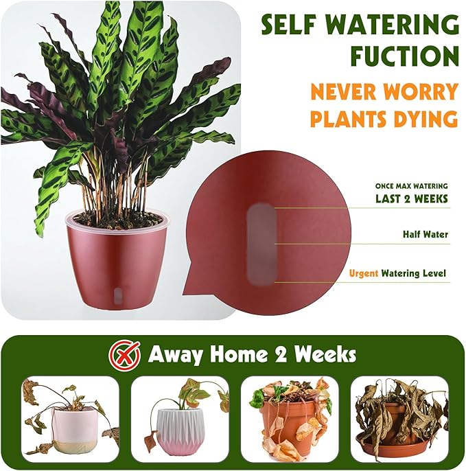 Self Watering Pots for Indoor Plants, 4-Pack 6.7'' Self Watering Planter with Drainage Holes, Small African Violet Pots with Water Indicator, Clear Wick Orchid Pot, Rose Gold-Ruum Studio Home