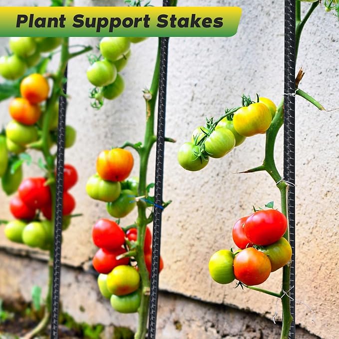 24 inches Straight Rebar Stakes 18-Pack Ground Stake Heavy Duty Metal Steel Spikes for Gardening, Concrete Forming and Camping Tent-Ruum Studio Home