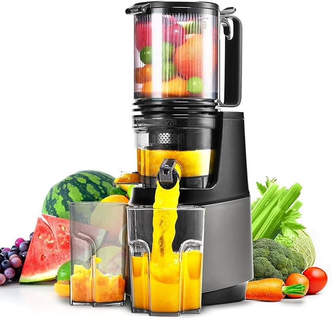 Cold Press Juicer,Slow Masticating Juicer Machines with 5.3" Large Feed Chute for Most Fruits and Vegetables,Easy to Clean Lemon Orange juicer with 250W Motor and High Juice Yield,Metal Gray-Ruum Studio Home