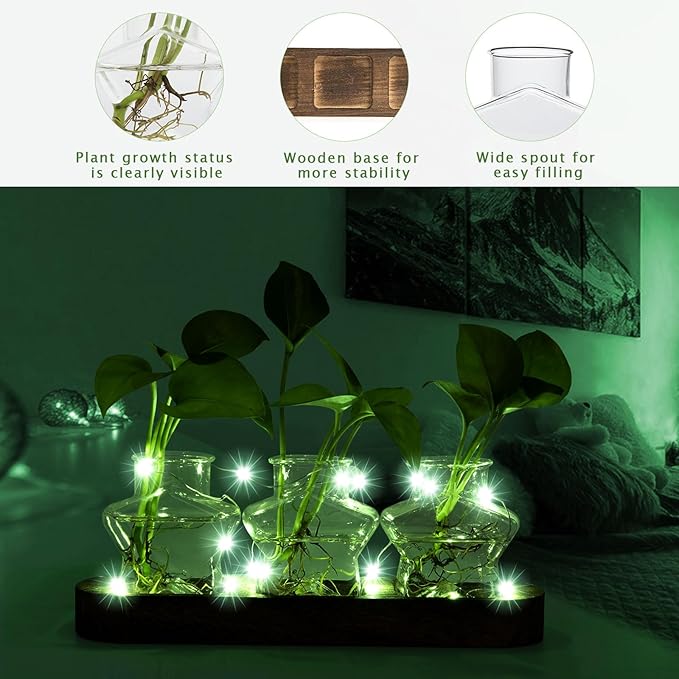 XXXFLOWER Plant Propagation Station with Wooden Stand，Air Plant Terrarium Starter Kits Star Vases for Flowers Plant Cutting Rooting Pots Indoor Hydroponic Glass Planter for Plant Lovers,3 Jars-Ruum Studio Home