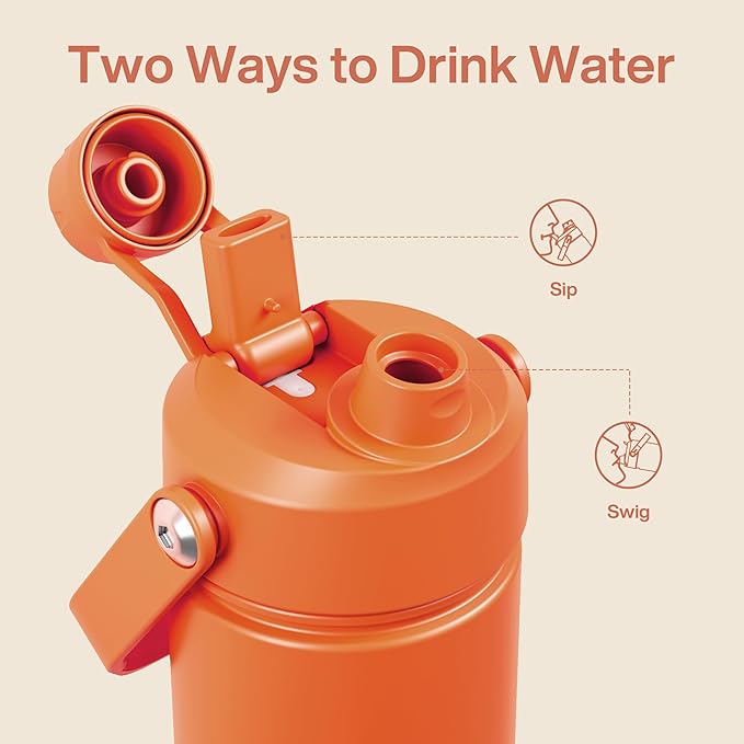 Insulated Water Bottle with Straw Stainless Steel Water Bottle, Leak-Proof, BPA-Free, Double Wall Vacuum Keeps Cold for 24 Hours for Sports, Travel, School (26 oz, Moderate Orange)