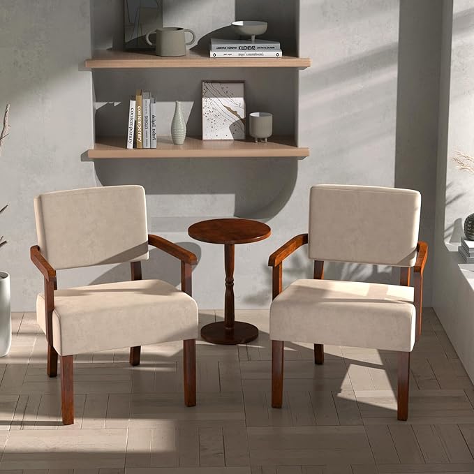 Accent Chair, Cat-Scratch Velvet Living Room Chairs Oversize with Soft Seat and Armrests for Dinning Room Bedroom Reading Room Waiting Room-Ruum Studio Home